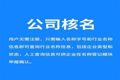 新公司核名基本流程