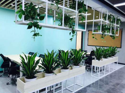 荔湾工商注册具体流程有哪些