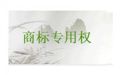 <b>商标法修正案草案:加大对侵犯商标专用权的惩罚</b>