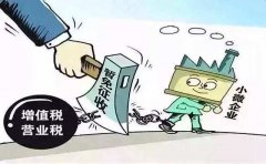 <b>小规模纳税人的政策有哪些？</b>