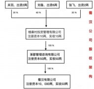 公司股权架构设计：注册资本想写一亿但只有十