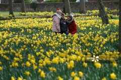 怎样注册新公司全世界的花都开了 带你看遍花花世界