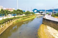 广州公司地址注册白云区36条河涌达到不黑不臭水面漂浮物清理行动开展