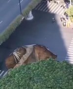 广州代办企业注册广州地铁集团致歉怎么回事？广州地陷3人被困最