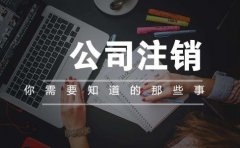 广州公司办理注销流程