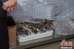 广州0元注册公司粤警四个月侦破涉食药环和知识产权刑事案件1