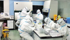 广州新注册的公司“五大战役”“两个胜利”