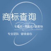 商标注册检索查询需要考虑那些方面