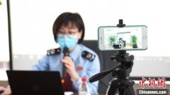 广州地区注册公司广州和武汉税务部门搭建新机制 “湖北特供”很抢眼