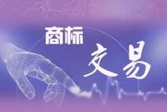 商标转让和新注册商标该怎么选