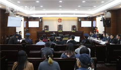 广州会计公司侵犯《流浪地球》等电影著作权案宣判 8人获刑