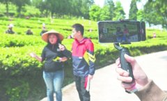 广州注册公司地址挂靠茶园开直播 一起“趣”喝茶 ——台企雪峰农场的创新“