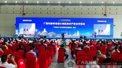 广州专利申请广西对接粤港澳大湾区知识产权合作论坛在邕举行