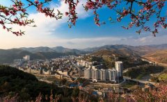 广州公司注册代理西林县有奖征集农产品区域公共品牌命名及logo设