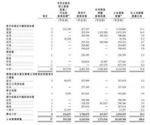 广州注册合资公司实地地产集团联交所递交IPO申请 招股书显示重庆