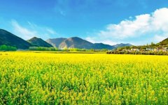 广州注册香港公司广州商标转让¥!