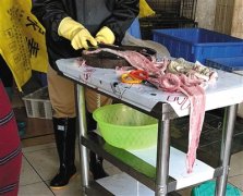 广州代注册公司疫情下的“野味”:有商家转场网络挂靠资质“