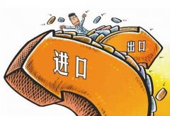 申请进出口权办理的流程