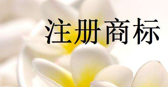 注册商标常见问题