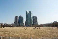 办“三证合一”所需原材料有什么？