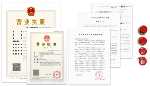 广州外资公司注册