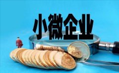 广州公司怎么申请为小微企业